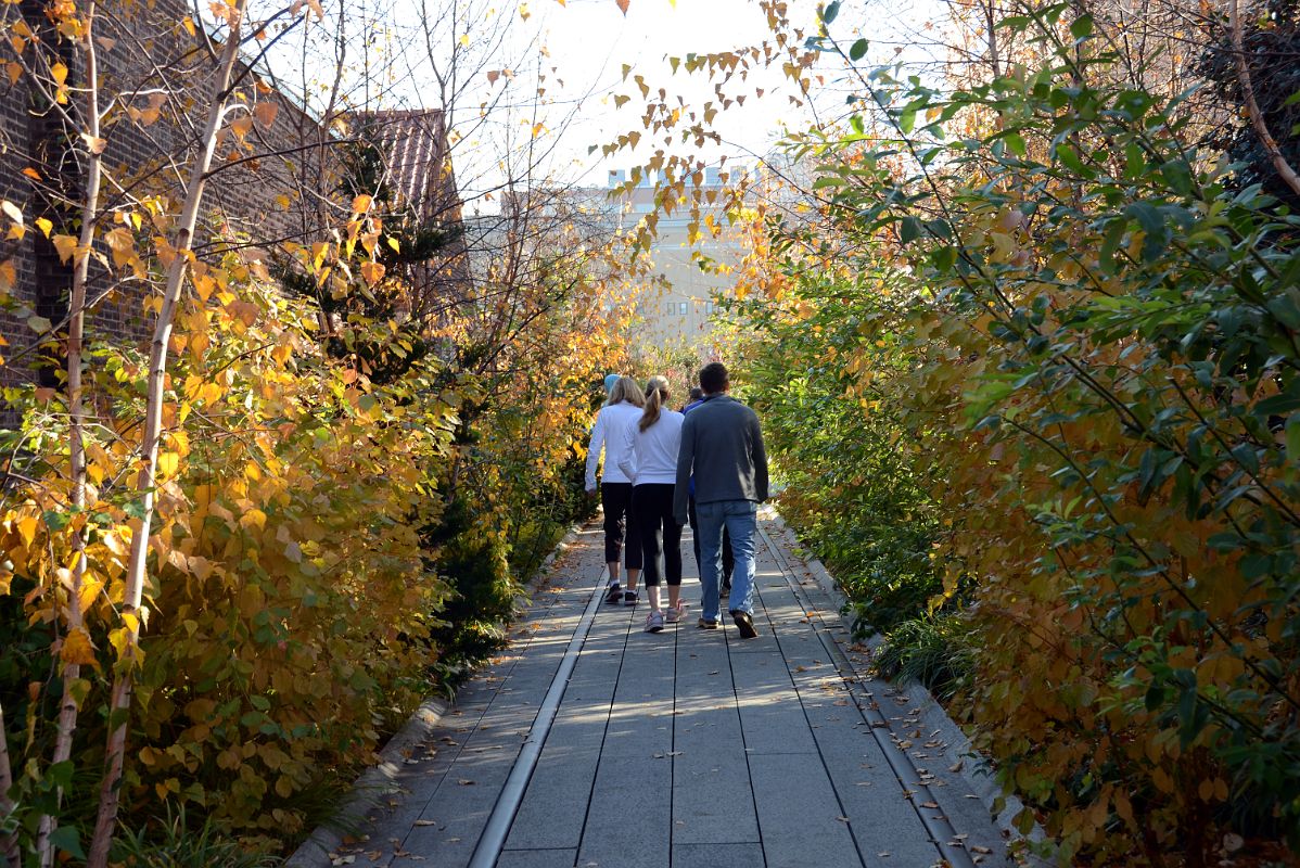 28 Autumn Colours On The New York High Line Between W 21 St And W 22 St